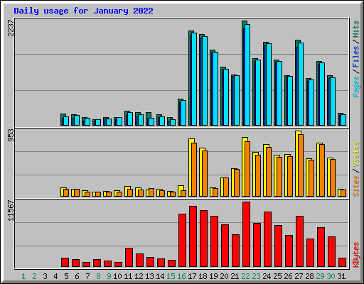 Daily usage for January 2022