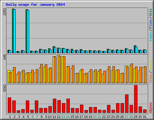 Daily usage for January 2024