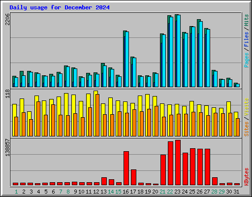 Daily usage for December 2024
