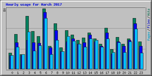 Hourly usage for March 2017