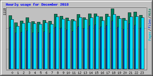 Hourly usage for December 2018
