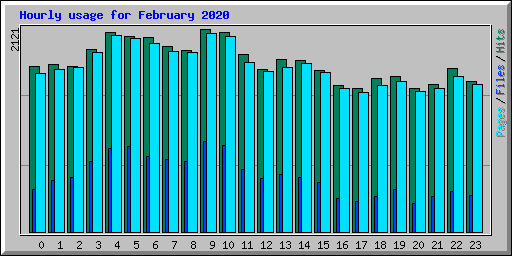Hourly usage for February 2020