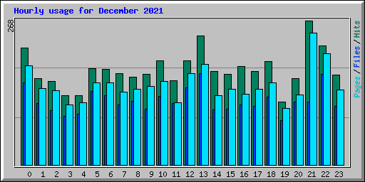 Hourly usage for December 2021
