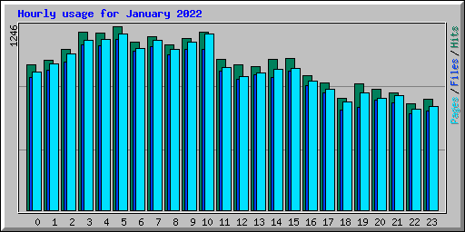 Hourly usage for January 2022