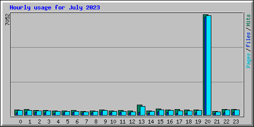 Hourly usage for July 2023