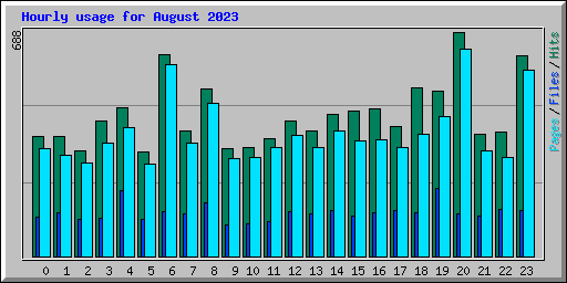 Hourly usage for August 2023