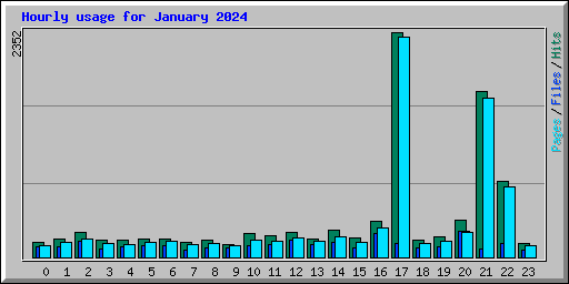 Hourly usage for January 2024