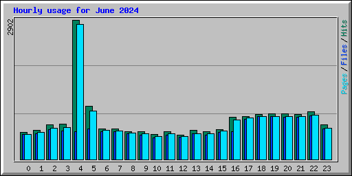 Hourly usage for June 2024