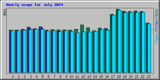 Hourly usage for July 2024