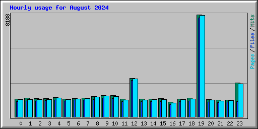 Hourly usage for August 2024