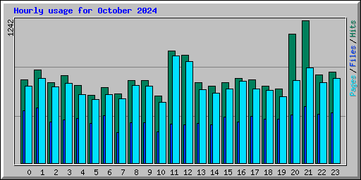Hourly usage for October 2024