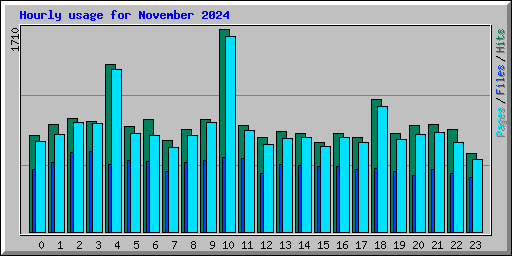 Hourly usage for November 2024