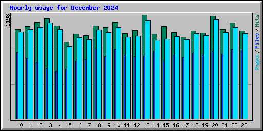 Hourly usage for December 2024