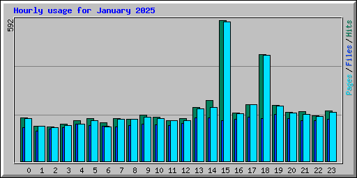 Hourly usage for January 2025