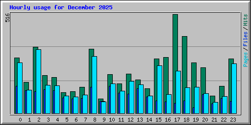 Hourly usage for December 2025