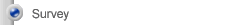 Survey